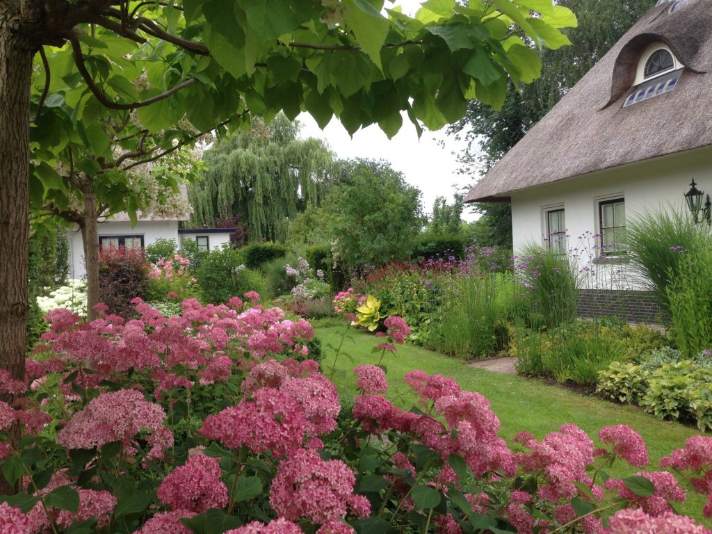 tuin onderhoud